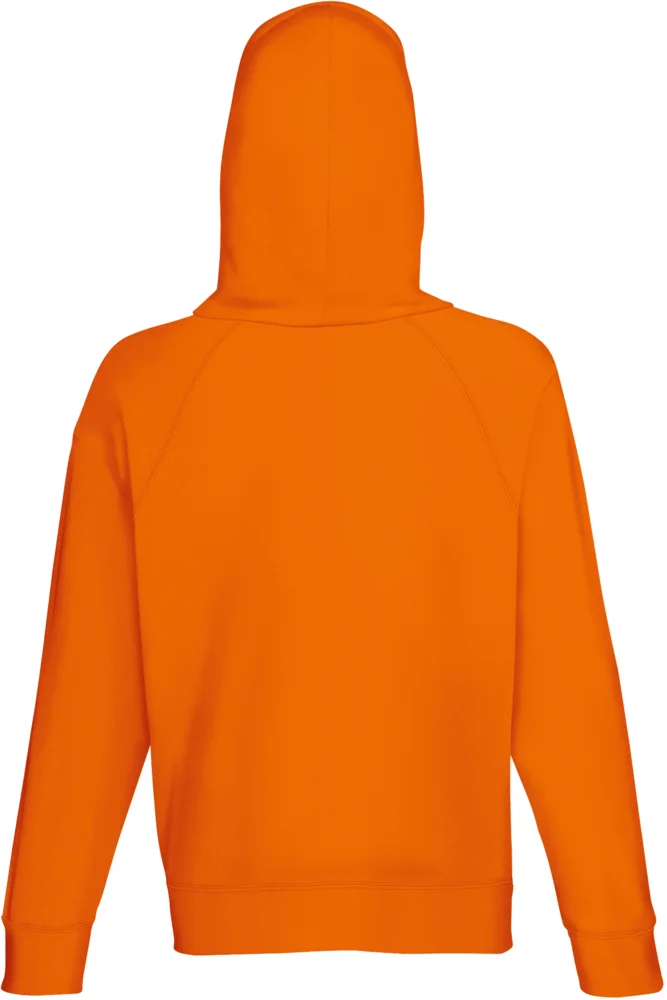 Men's Raglan Hooded Sweatshirt