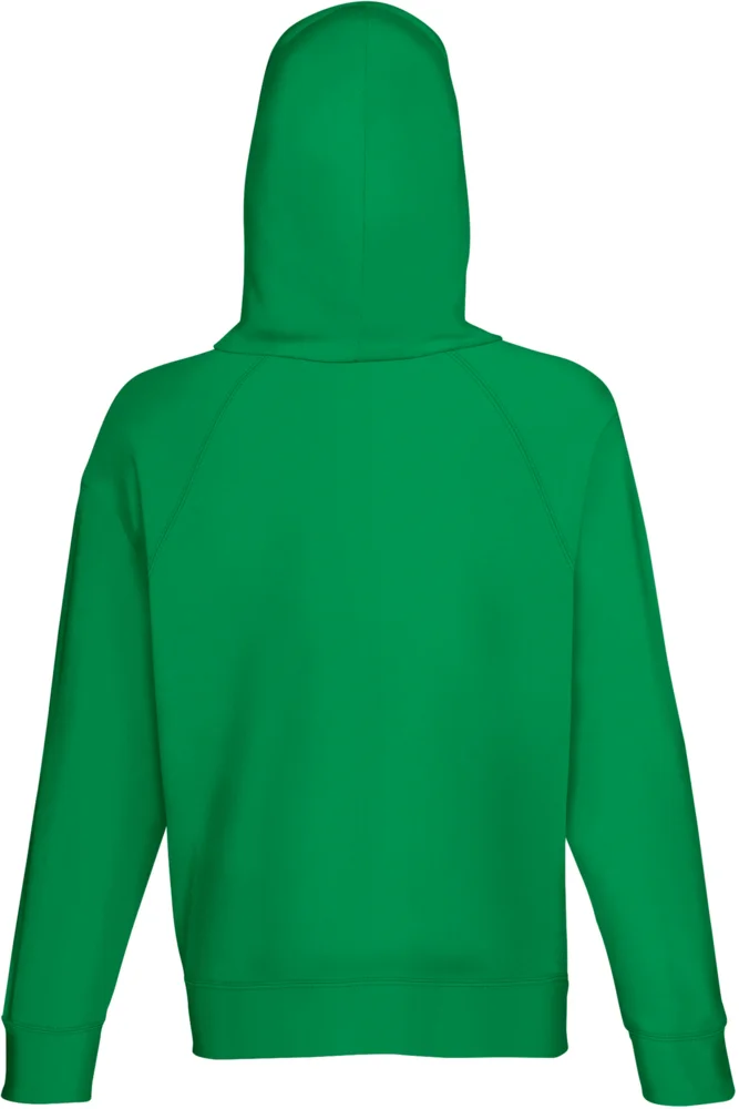 Men's Raglan Hooded Sweatshirt