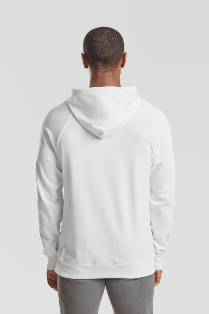 Men's Raglan Hooded Sweatshirt