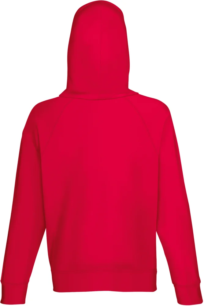 Men's Raglan Hooded Sweatshirt