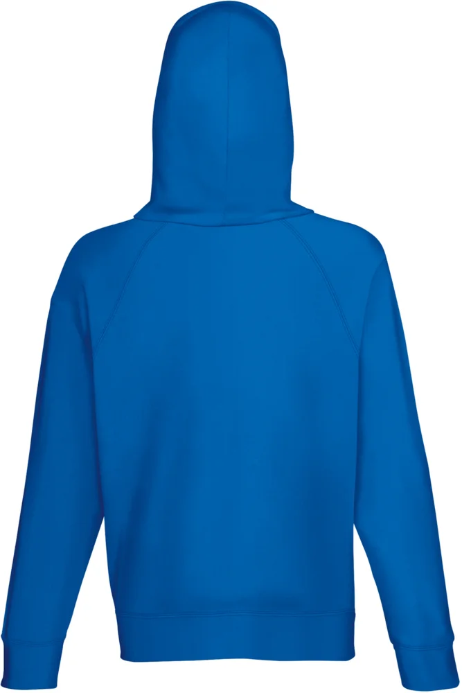 Men's Raglan Hooded Sweatshirt