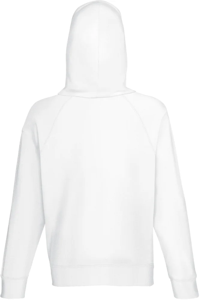 Men's Raglan Hooded Sweatshirt