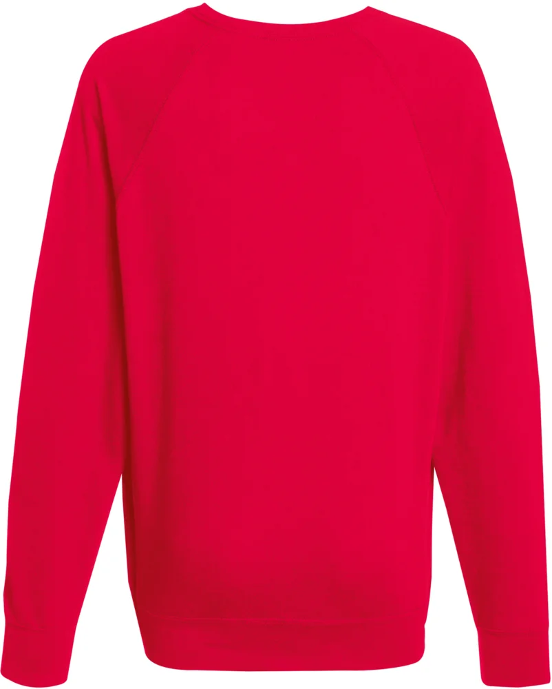 Herren Raglan Sweater