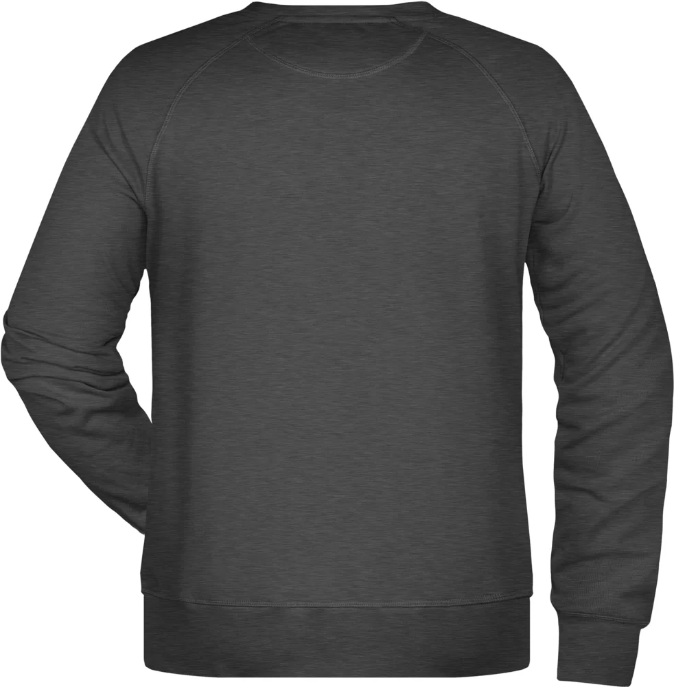 Herren Raglan Sweater