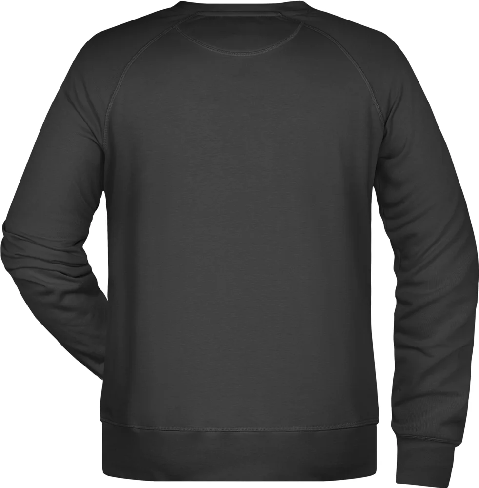 Herren Raglan Sweater