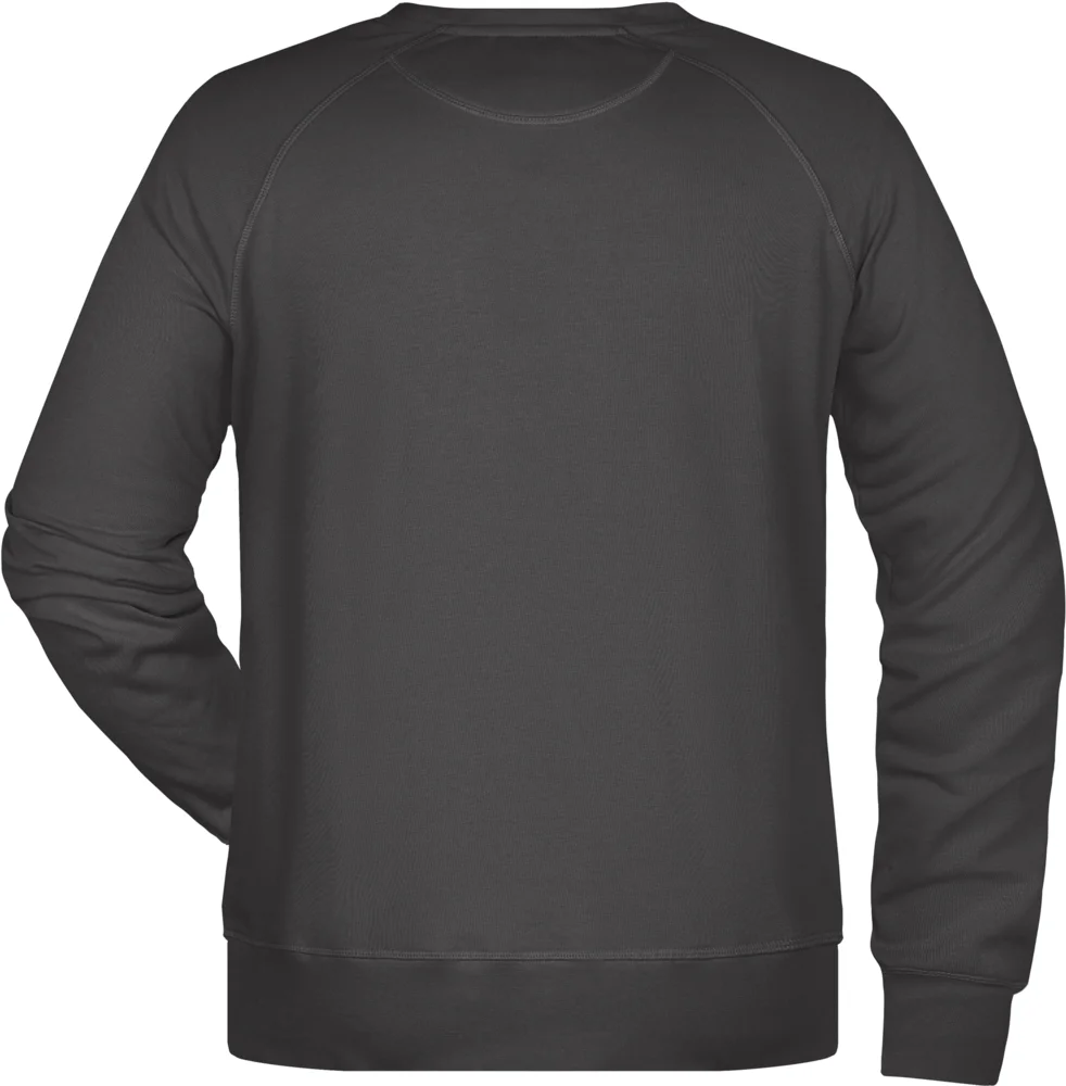 Herren Raglan Sweater
