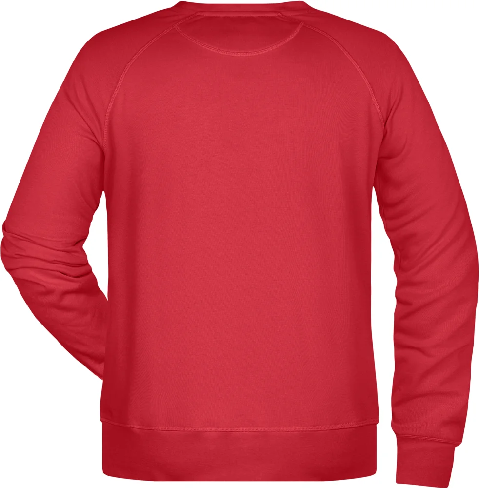 Herren Raglan Sweater