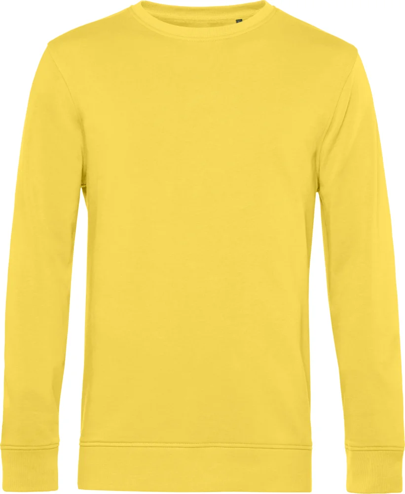 Herren Sweater