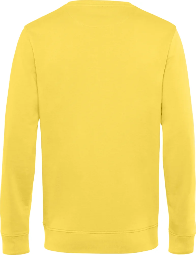 Herren Sweater