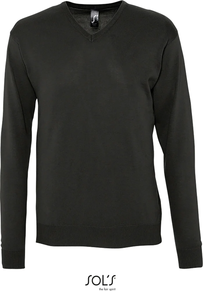 Men's V-Neck Pullover