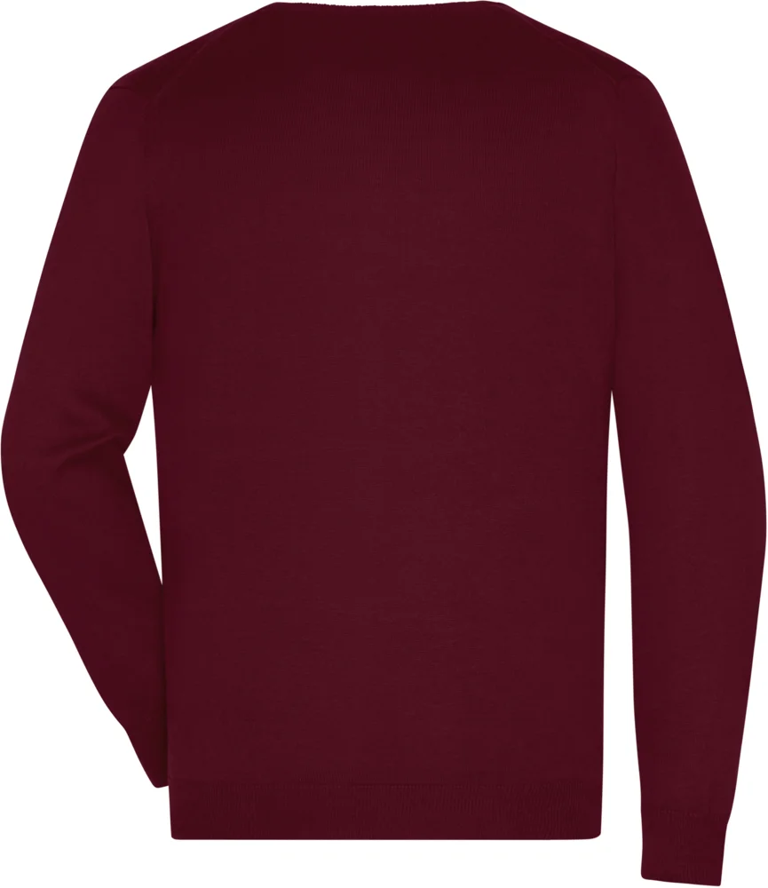 Men's V-Neck Pullover