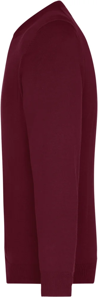 Men's V-Neck Pullover