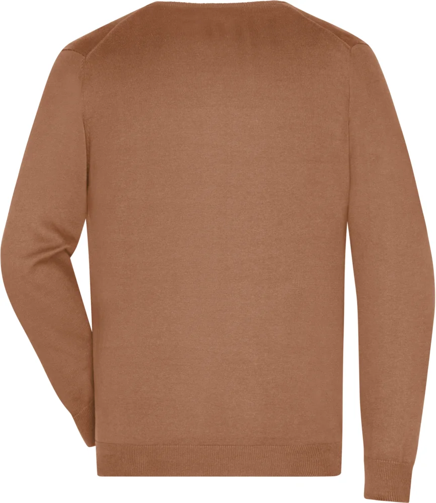 Men's V-Neck Pullover
