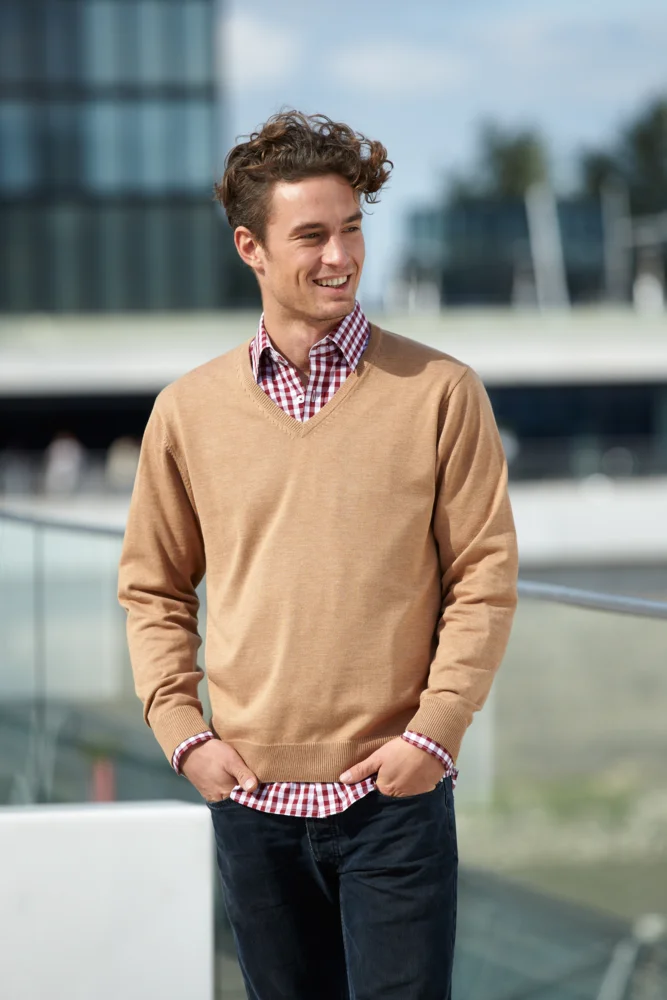 Men's V-Neck Pullover