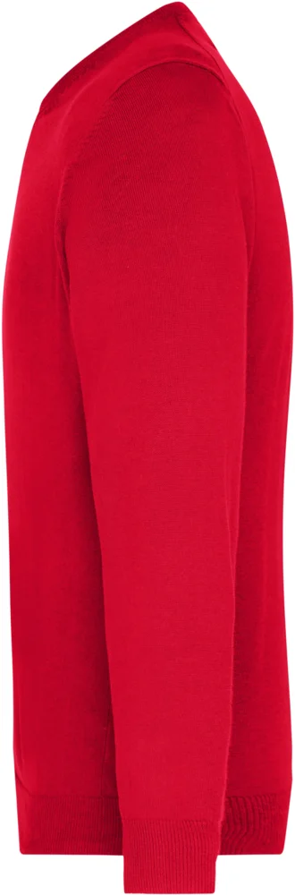 Men's V-Neck Pullover