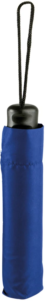 Mini Taschenschirm