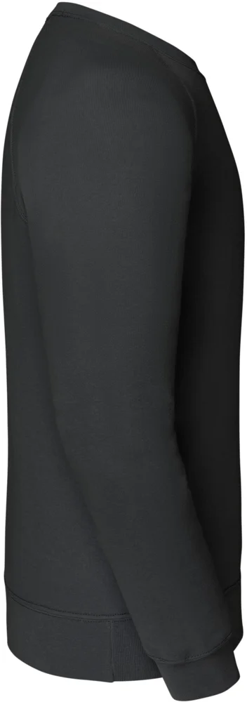Raglan Sweatshirt