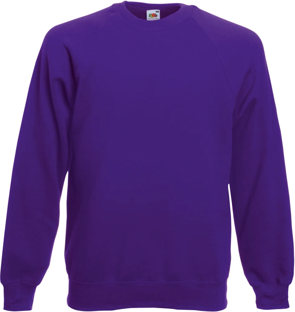 Raglan Sweatshirt
