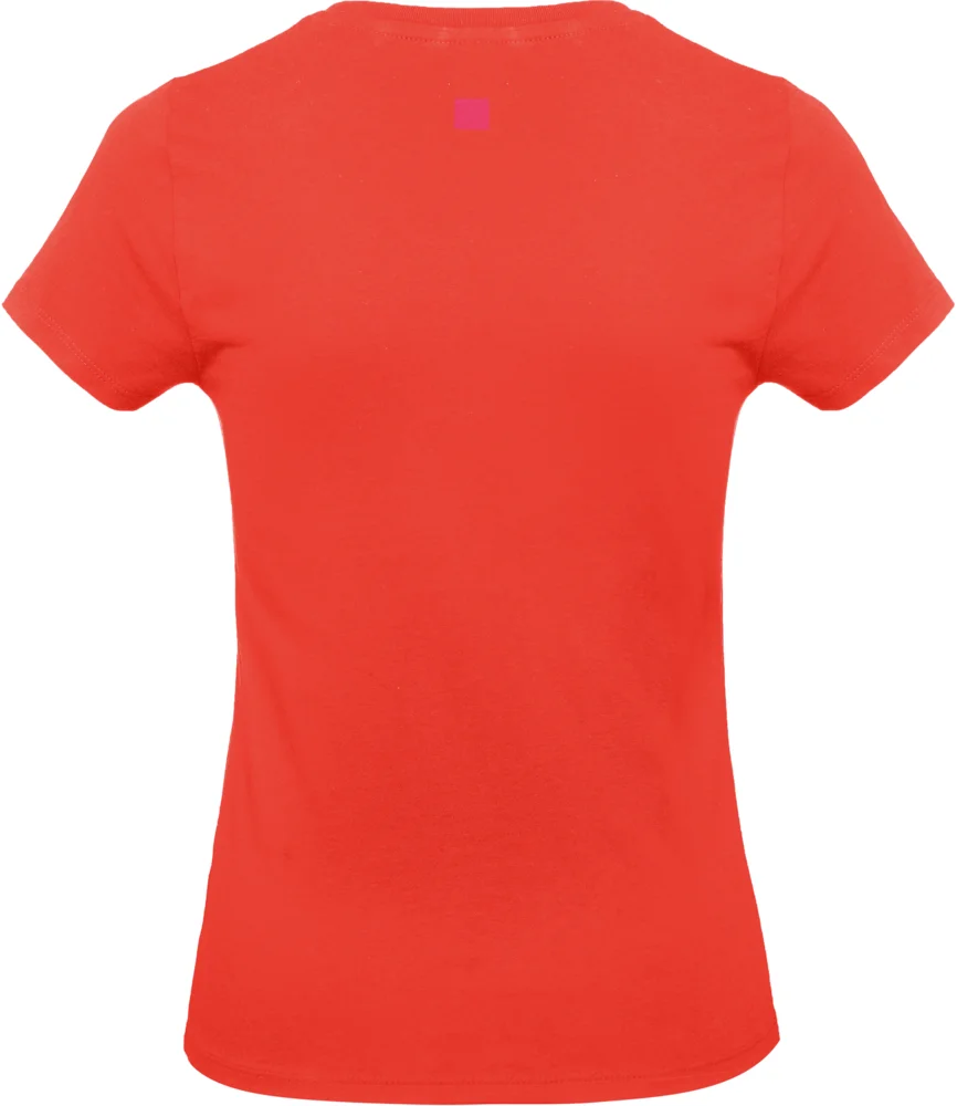 Heavy Ladies' T-Shirt