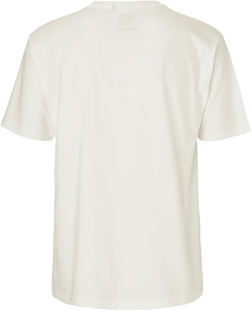 Men's Heavy Organic T-Shirt