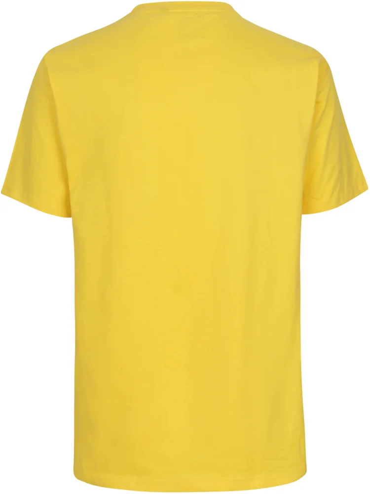 Men's Heavy Organic T-Shirt