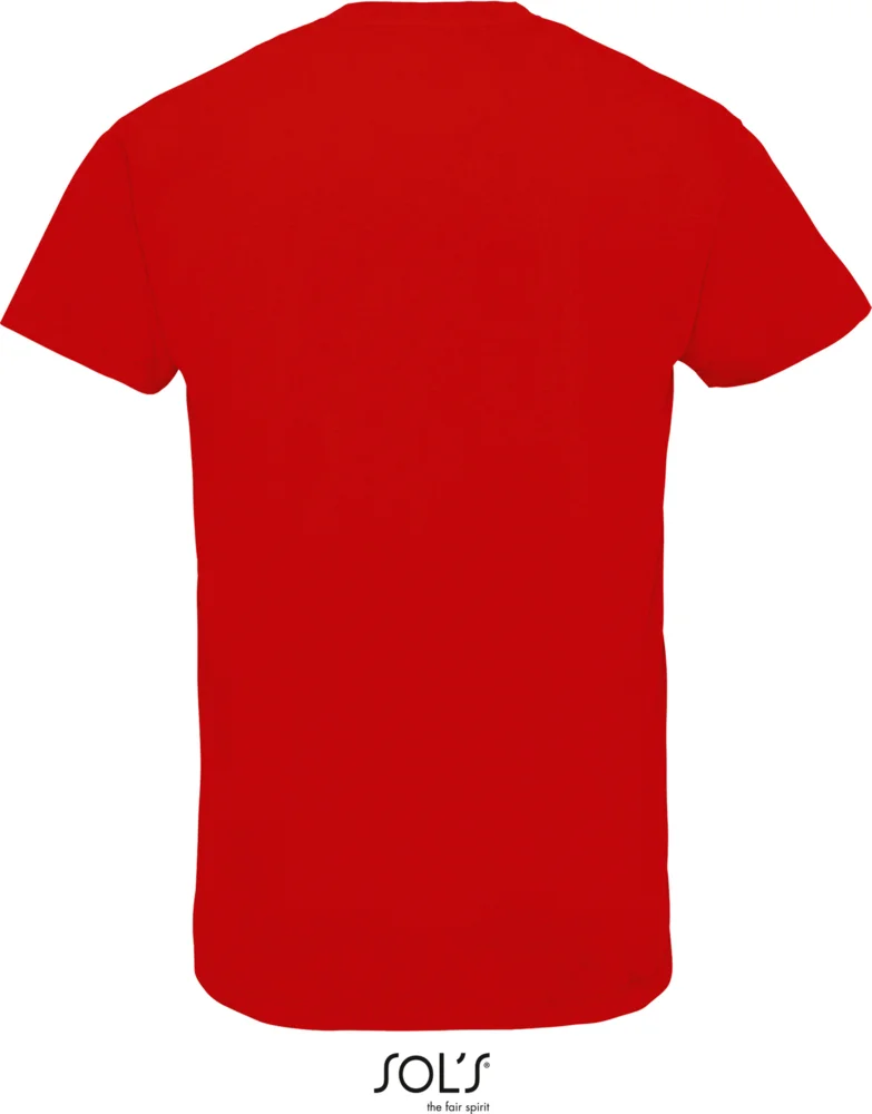 Men's Heavy V-Neck T-Shirt
