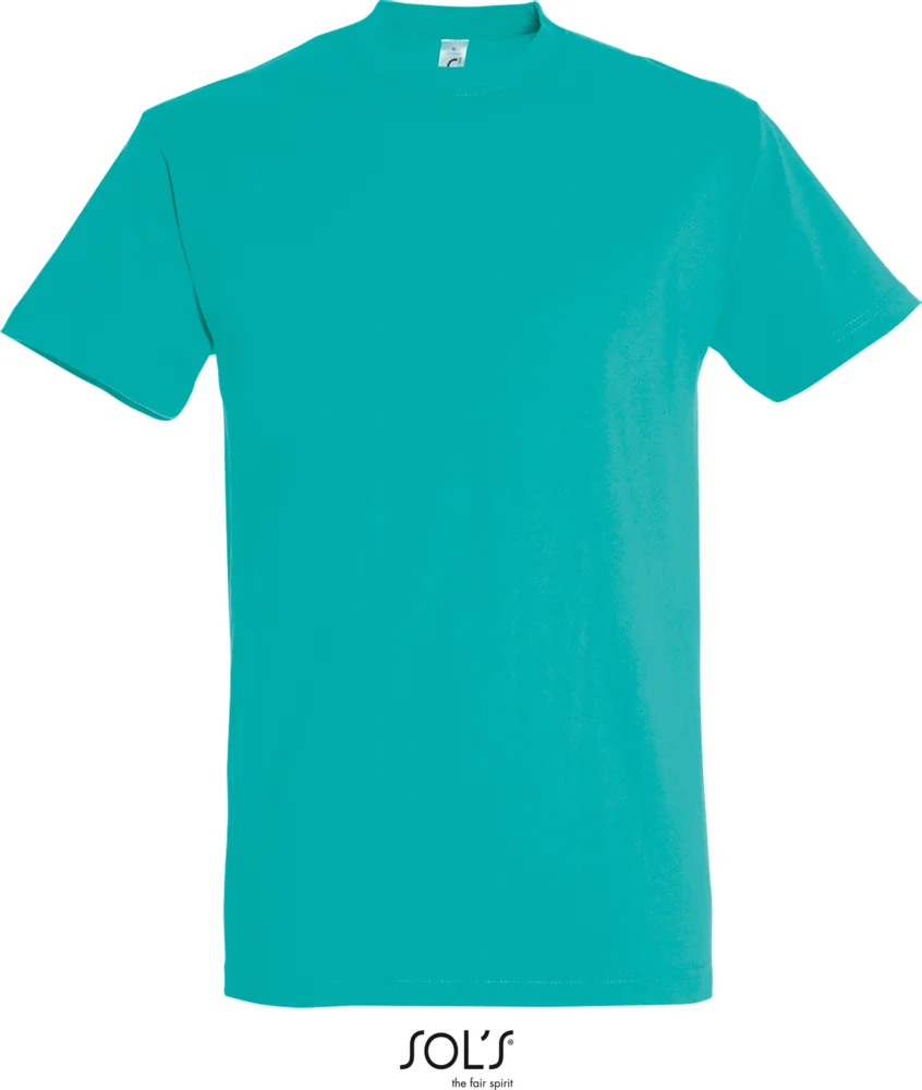 Heavy T-Shirt