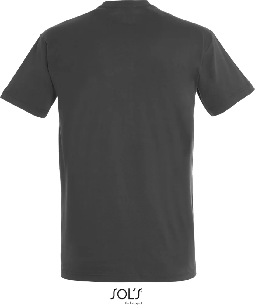 Heavy T-Shirt