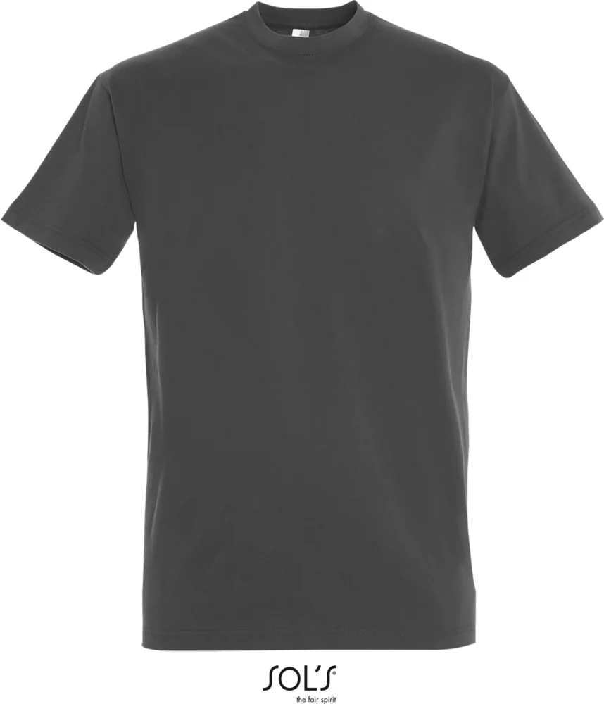 Heavy T-Shirt