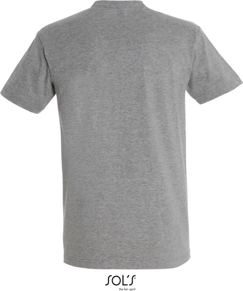Heavy T-Shirt