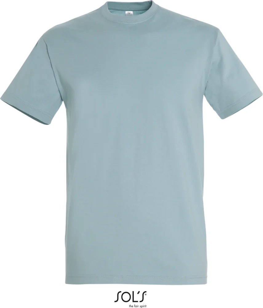 Heavy T-Shirt