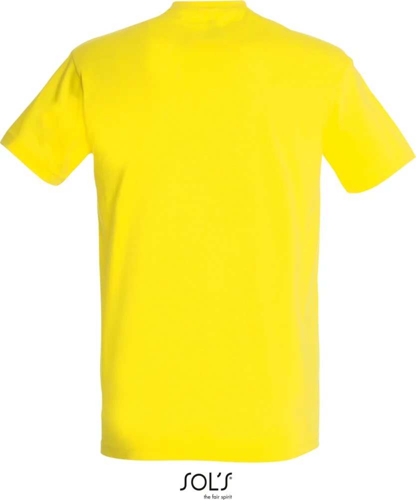 Heavy T-Shirt