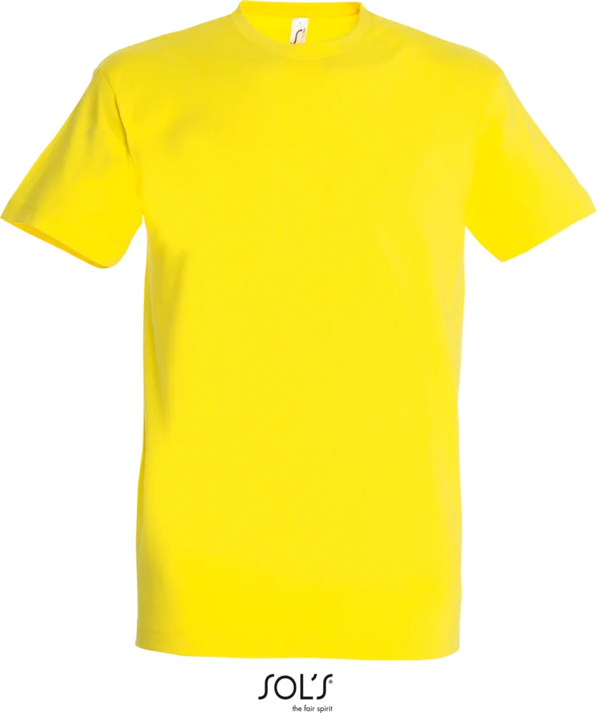 Heavy T-Shirt