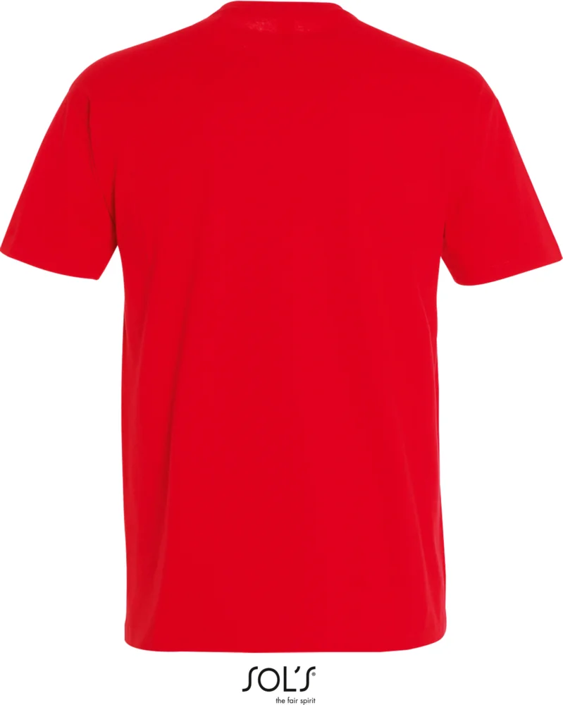 Heavy T-Shirt