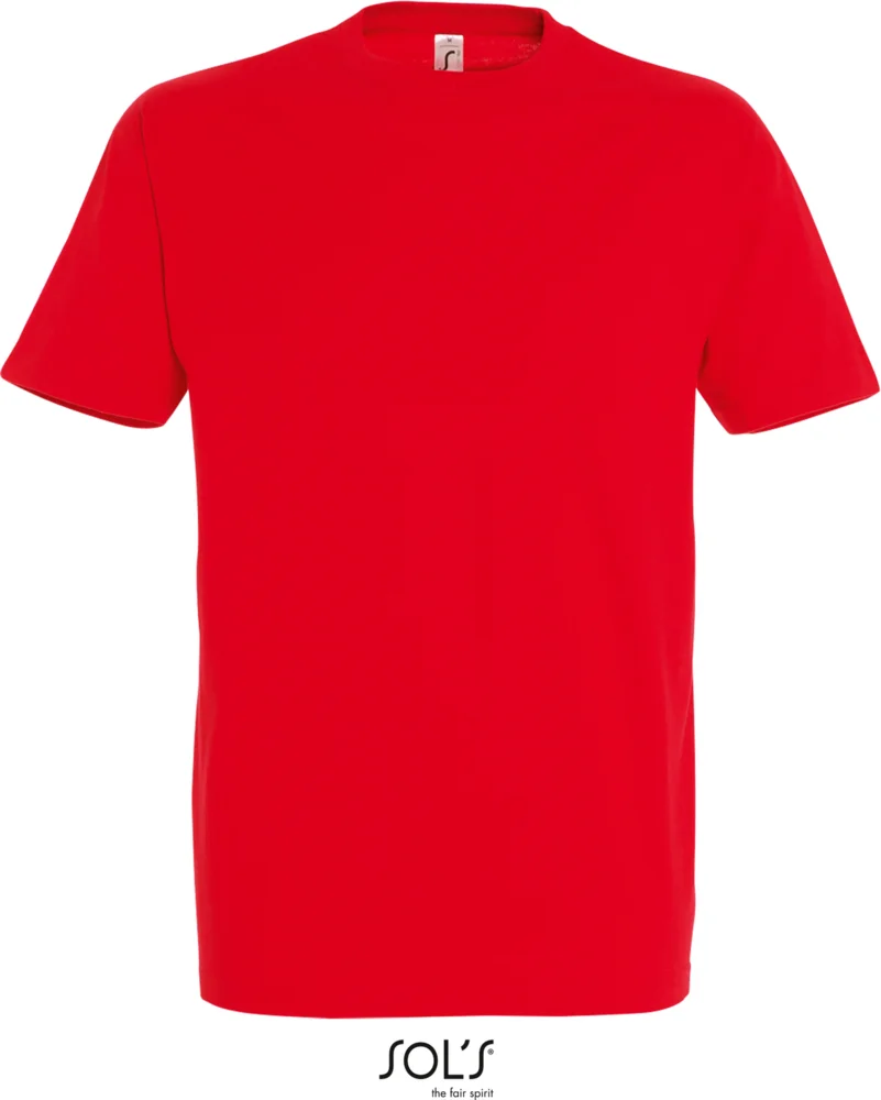 Heavy T-Shirt