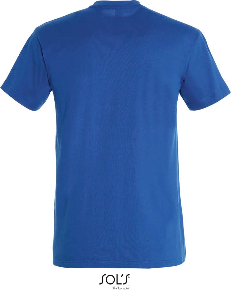 Heavy T-Shirt