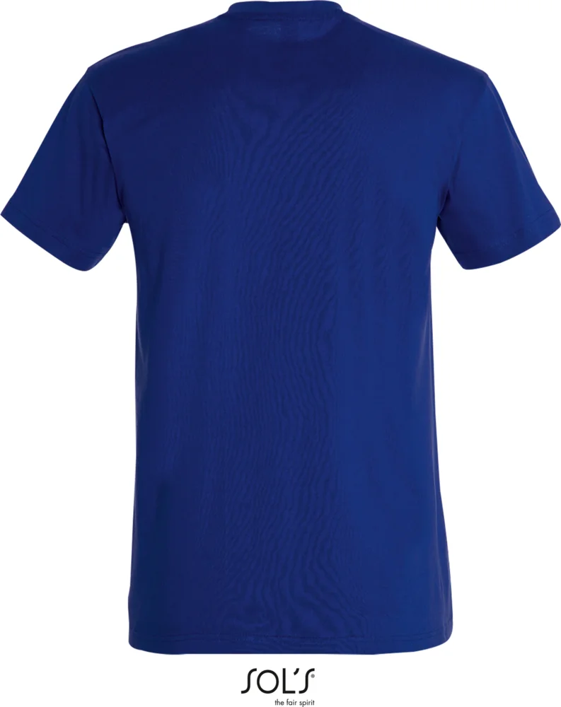 Heavy T-Shirt