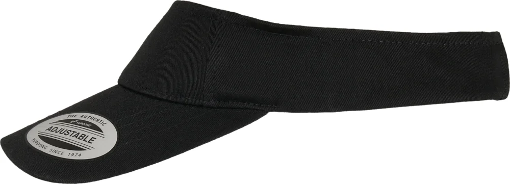 Sun visor